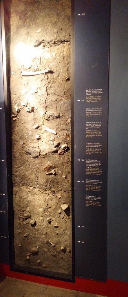 Aarhus29