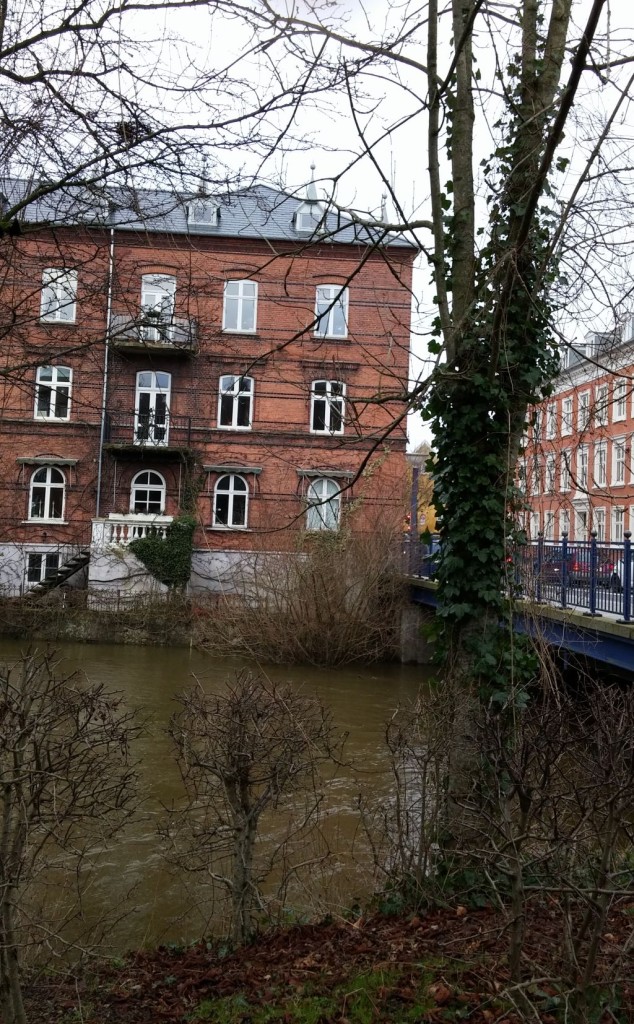 Odense61
